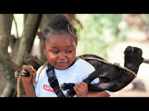 SHOKI – Trailer (New Movie) Ebube Obio/Kenechukwu Ezeh/Ebube Trending 2022 Nigerian Nollywood Movie