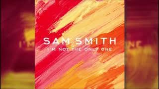 Sam Smith - I'm Not The Only One (Speed Up)