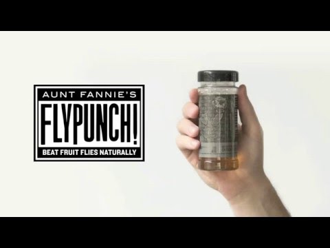 Aunt Fannie's Fly Punch How To