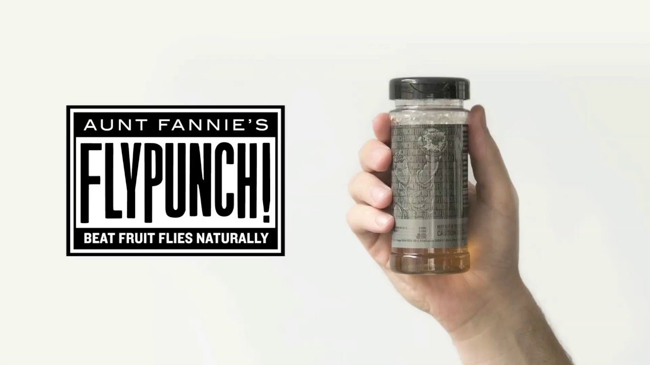 Aunt Fannie's FlyPunch! Fruit Fly Trap