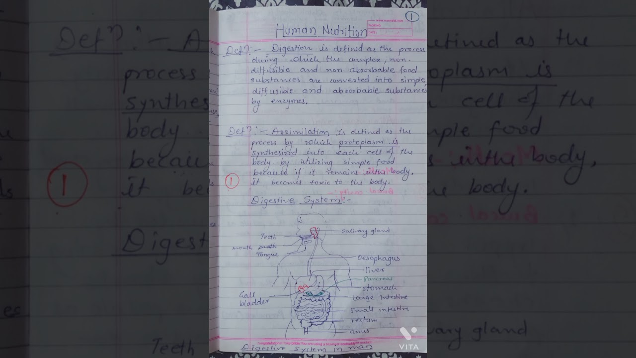 Human nutrition. 11th biology -written notes - YouTube