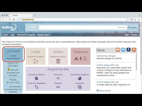 UNIPROT Protein Sequences