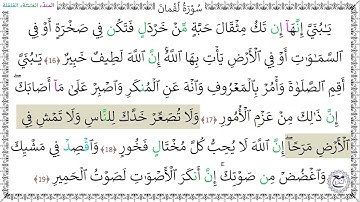 سورةُ لُقْمانَ (16 - 19) عبد الرحمن شاهين