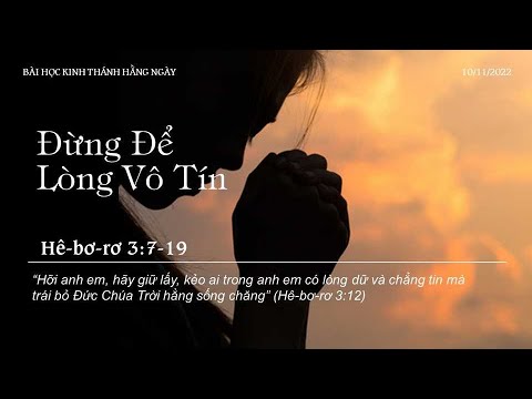 Video 10/11/2022 - BHKTHN TIẾNG VIỆT - YouTube
