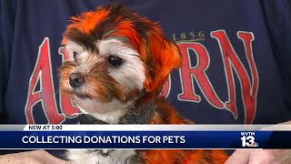 Altadena Valley collecting donations for pets in storm s path