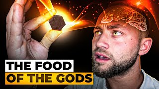 Why Is Everyone Talking About Spartan Bee Bread?