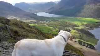 views from rannerdale knotts, buttermere by HENRYHOBBS1 276 views 8 years ago 35 seconds