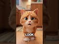 Hunger hits hard #catlife #pets #feline
