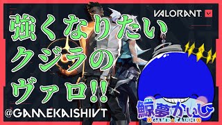 『ヴァロラント』TKV💪そろそろ友達が欲しい安定のソロ…初心者大歓迎！！鯨夢かいしVTuber🐋💤(げいむかいし)【VALORANT】#鯨夢start
