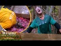 Paul and helen visit the bugtanical gardens   im a celebrity south africa