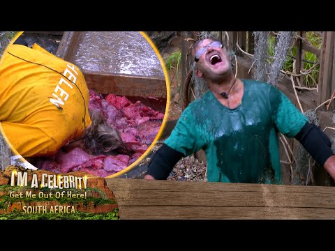 Paul and Helen visit the Bug-tanical Gardens  | I'm A Celebrity... South Africa!