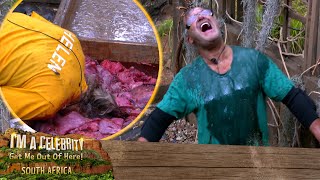 Paul and Helen visit the Bugtanical Gardens  | I'm A Celebrity... South Africa!