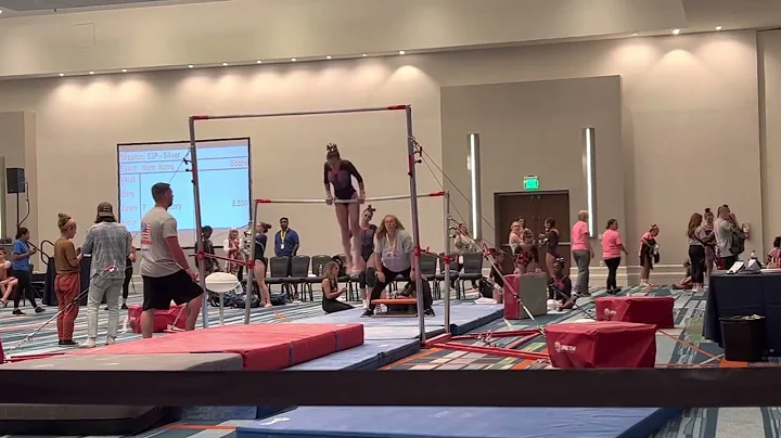 USAIGC Silver - Bars - Worlds Orlando 2022