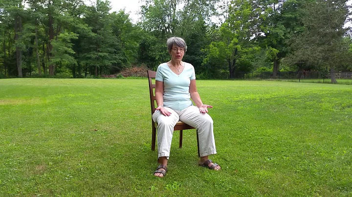 Improve Your Sitting Posture with the Fantastic Br...