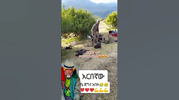 አርበኛ መሳፍንት ተስፉ 