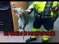 Мы едим то, что крысы не доели. ПОДБОРКА!!!