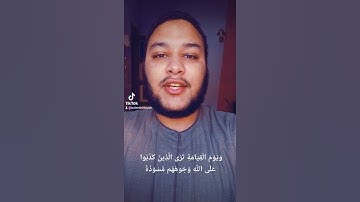 ما تيسر من سورة الزمر القارئ وليد أبو السباع