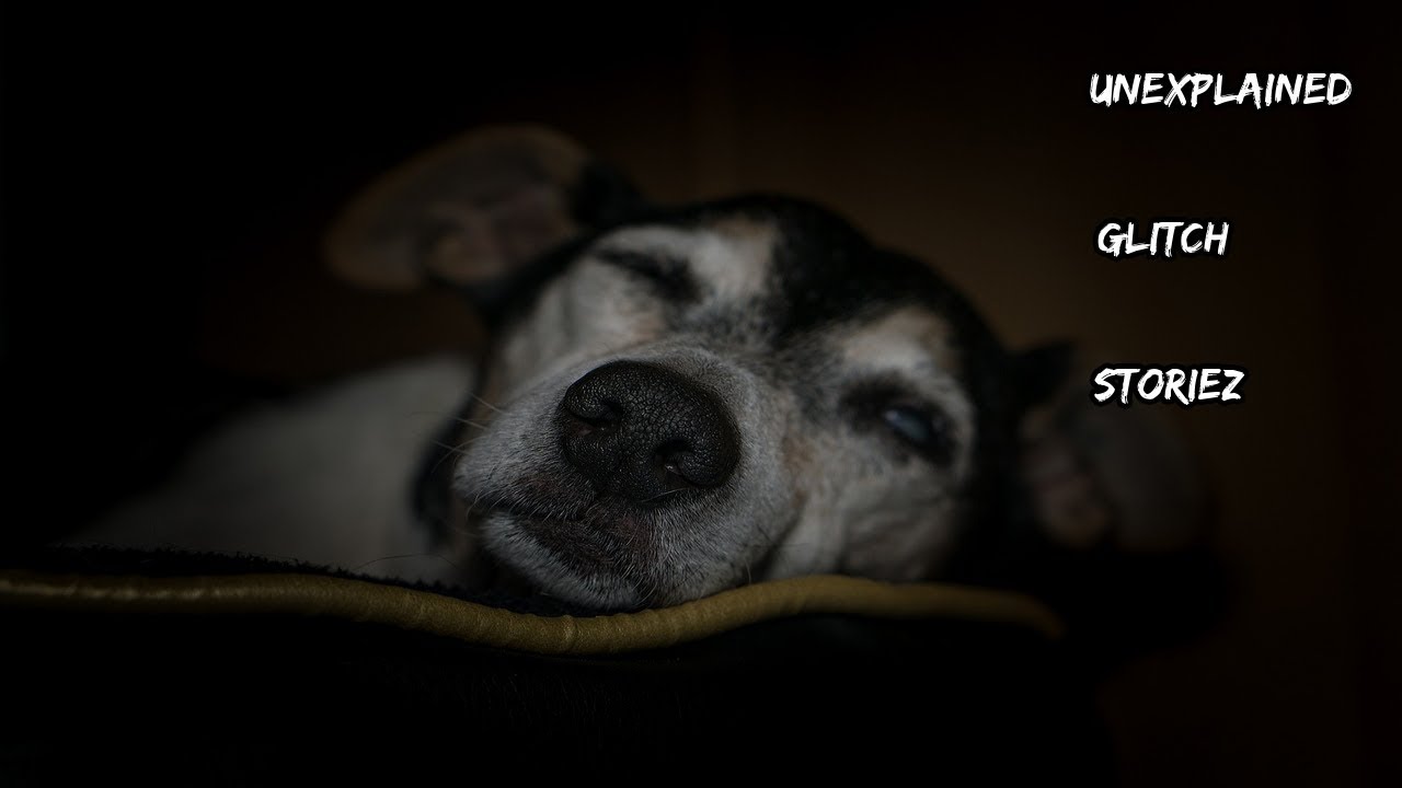 3 True Glitch in The Matrix Stories | Glitch in the Matrix #2