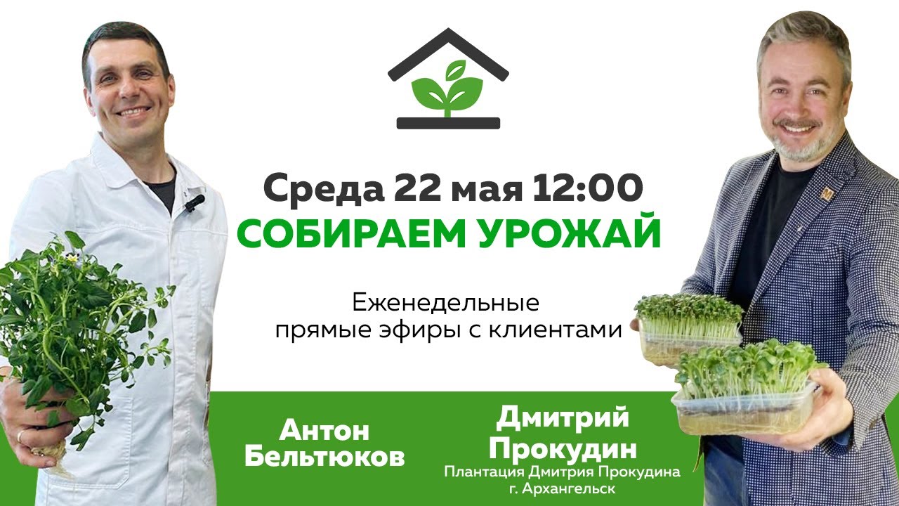 Еженедельные прямые эфиры с клиентами СОБИРАЕМ УРОЖАЙ ︱Гость - Дмитрий ...