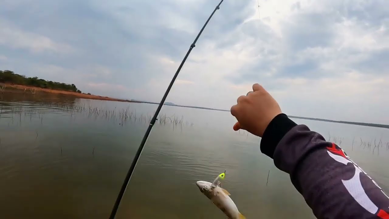 DESCOBRI A MELHOR ISCA DA PESCARIA ERA TARDE DEMAIS