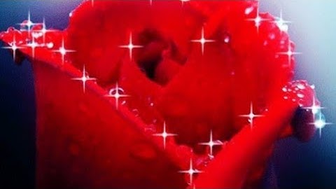 سورة يوسف كاملة | احمد العجمي🌿 تلاوة مؤثرة خاشعة مبكية