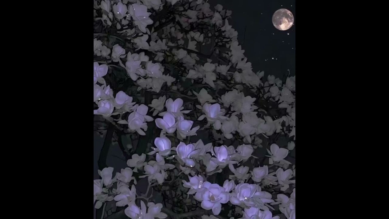 [FREE] Cochise Type Beat - 