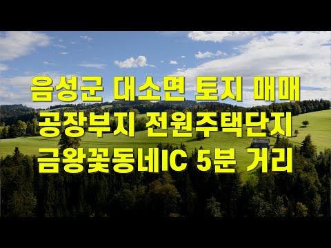충북 음성군 대소면 토지매매 공장부지 전원주택지 성본리임야매매 <strong>음성부동산</strong> 중개매물 [보이는부동산-부동산공인중개사다나와]