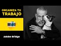 ADOBE BRIDGE &quot;Organiza tu trabajo&quot;