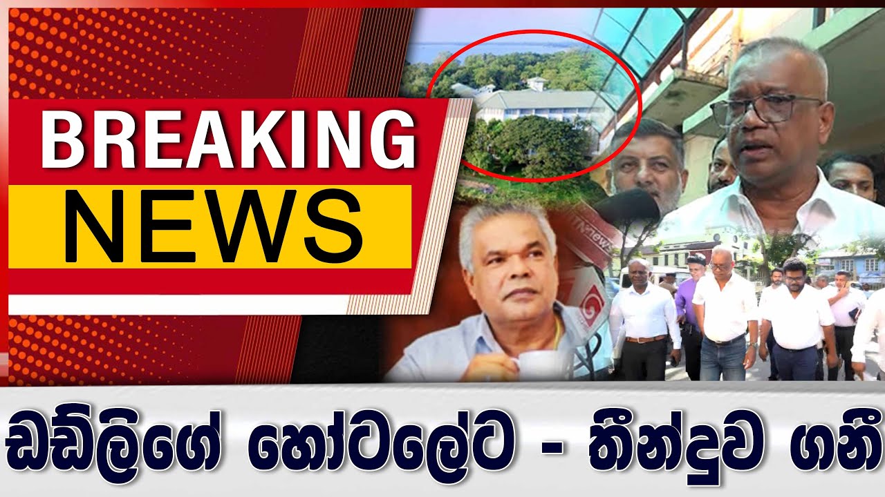 ඩඩ්ලිගේ හෝටලේට - මේ දැන් ගත්ත තීන්දුව
