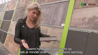 Tuin Terras Script En Presentatie Productvideo Betontegels