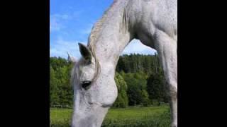 Julian Werding - Weisse Pferde chords