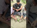 ছেলেদের কঠিন খেলা #fun #amazing #villagelife #partygames #youtubeshorts