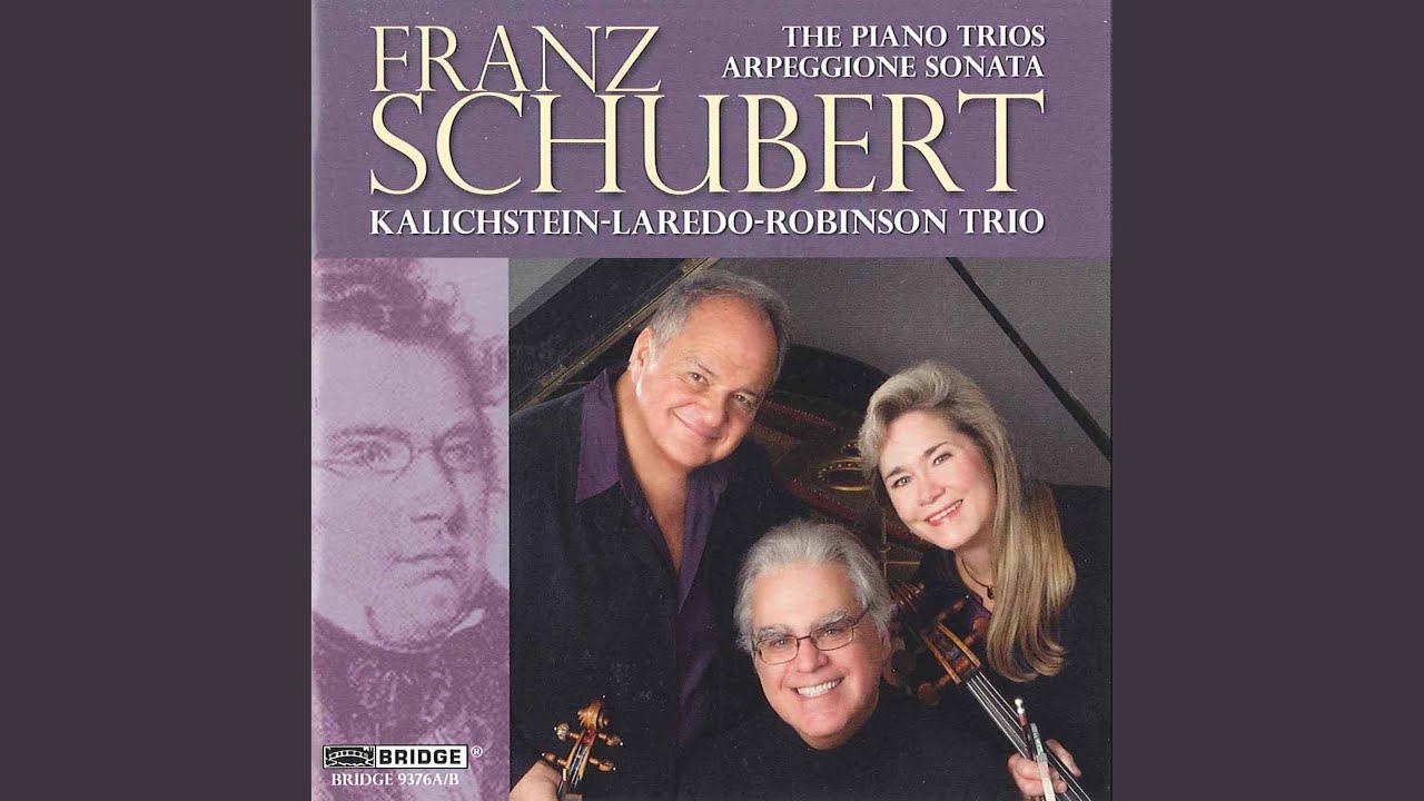 Arpeggione Sonata in A Minor, D. 821 (Arr. for Cello & Piano) : I ...