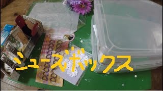 daiso haul!ダイソー購入品　クリア―バッグ・シューズケース他