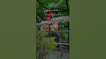 قرآن كريم تلاوة هادئة ارح سمعك #قرآن #viral #fyp #foryoupage uotes #quran #المصحف @viralhog