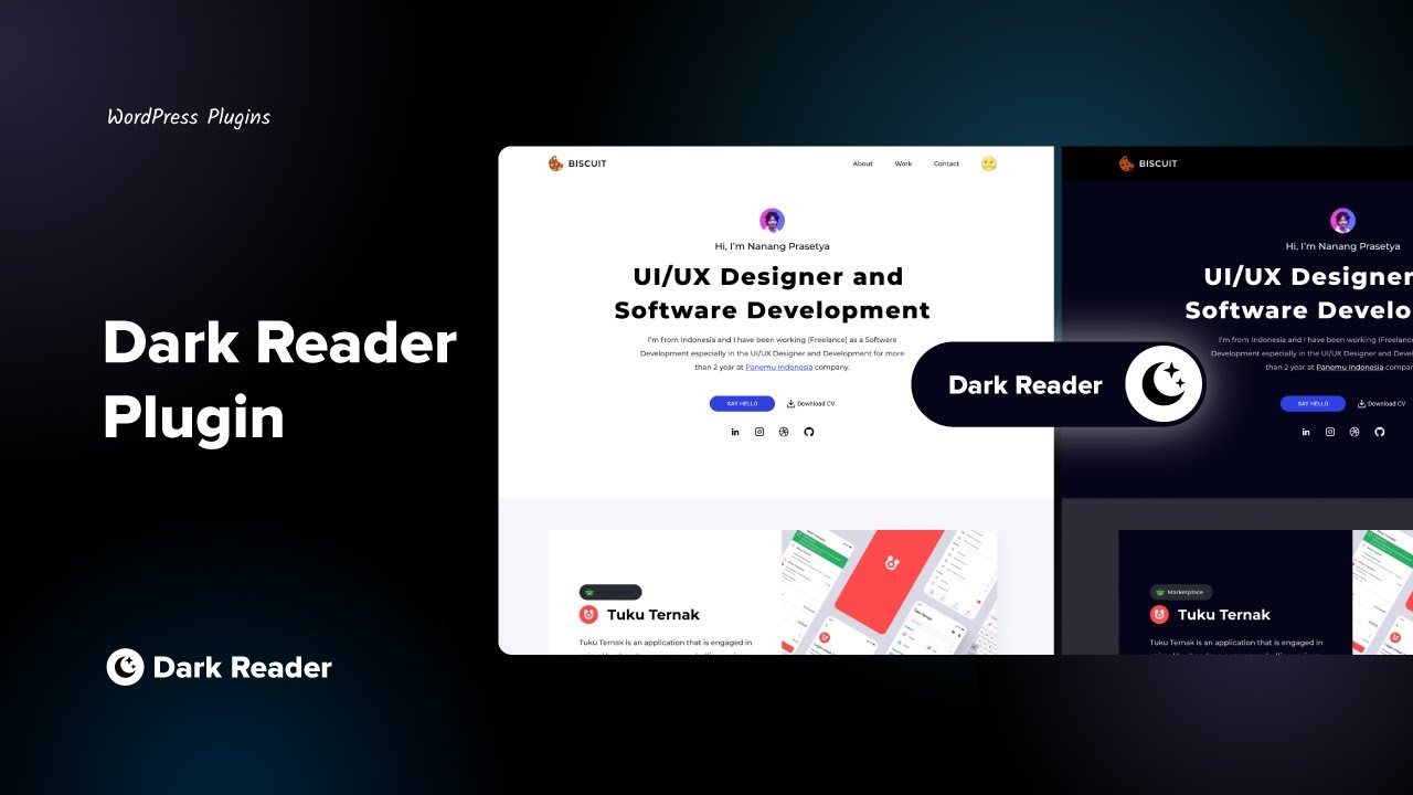 Add Dark Mode to WordPress in Minutes with Dark Reader Plugin by ...
