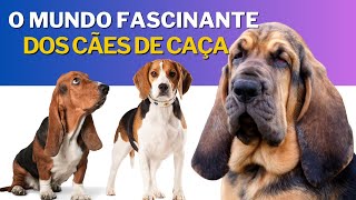 O Mundo Fascinante dos Cães de Caça As Melhores Raças de Farejadores