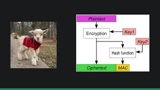 Embedded Security: TheGoats