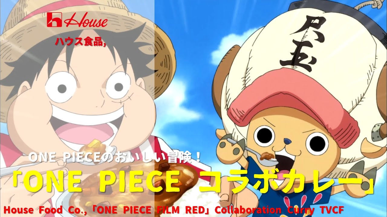 ONE PIECE ワンピース レトルトカレー限定 特製スプーン 麦わらストア