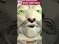 4 Fun Facts about White Tigers with Tigatron #transformers #beastwars #youtubeshorts
