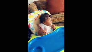 foxhunter high chair