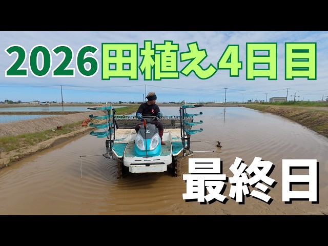 2026田植え最終日 - YouTube