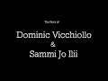 Beautiful News - David Vicchiollo