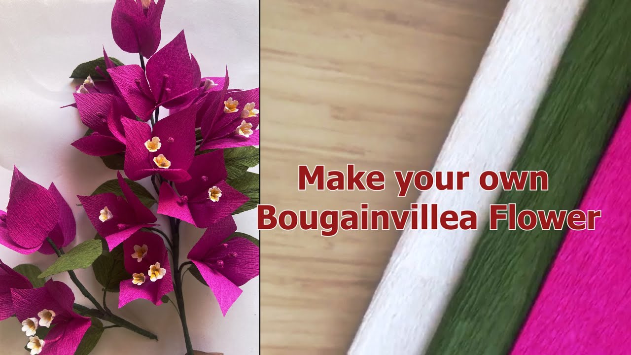 "DIY Bougainvillea Crepe Paper Flower Tutorial Make Vibrant and