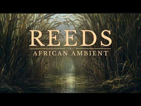 REEDS — Organic African Ambient Music for Deep Focus