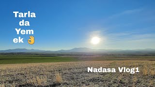 #New Holland Vs #Alpler pullukla nadas