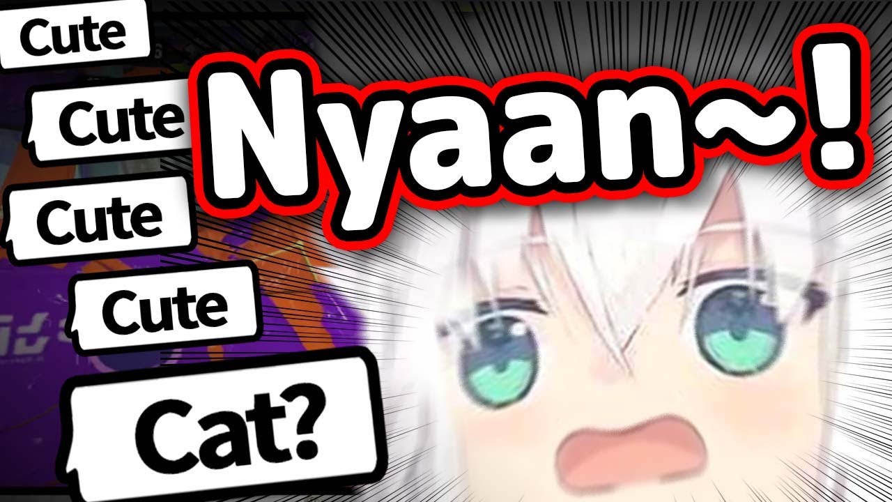 Fubuki's Sudden Cat Noises Make Chat Spam "Cute"【Hololive】