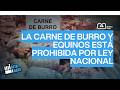 ¿Qué carne estamos comiendo?🤔👀