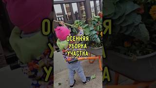 Осенняя уборка участка