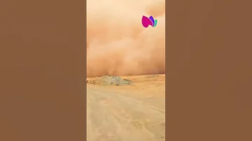 الوادي عاصفة رملية بمنطقة الحمراية شاهدوا 